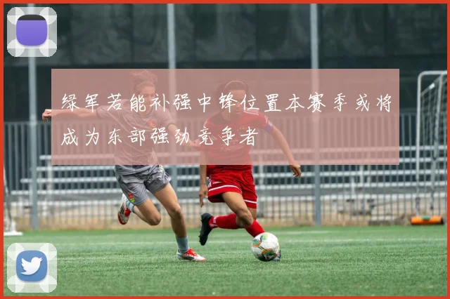 绿军若能补强中锋位置本赛季或将成为东部强劲竞争者